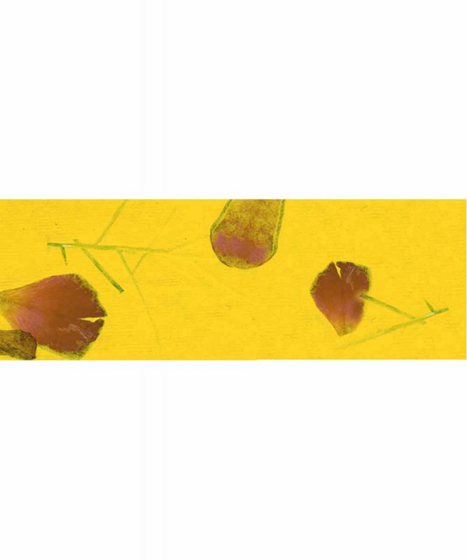Blütenpapier farbig Handgeschöpftes Naturpapier, 80 g/m² 50 x 70 cm Art.-Nr.: 14132201 gelb