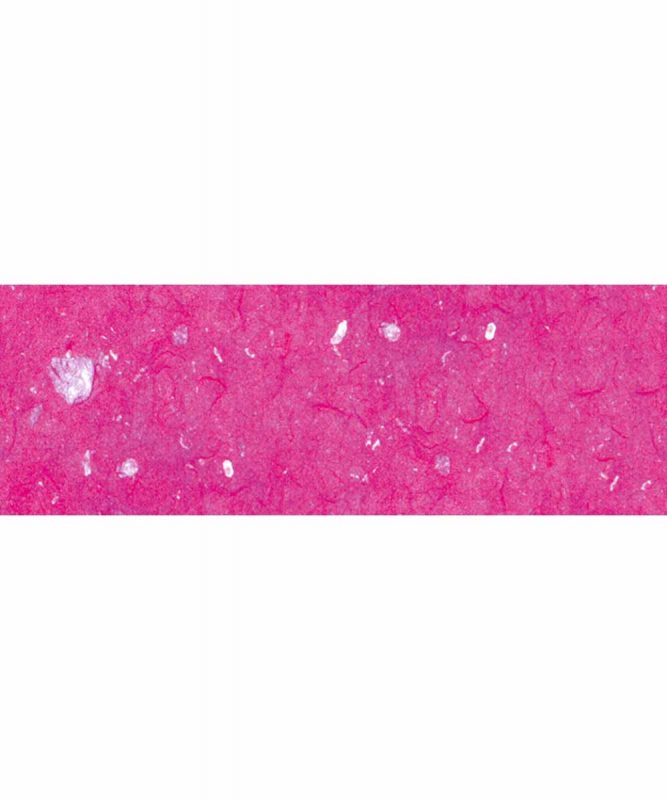 Muschelpapier Handgeschöpftes Naturpapier, mit Muschelpartikeln, 70 g/m² 23 x 33 cm, 5 Blatt, mit Banderole Art.-Nr.: 60520062 pink