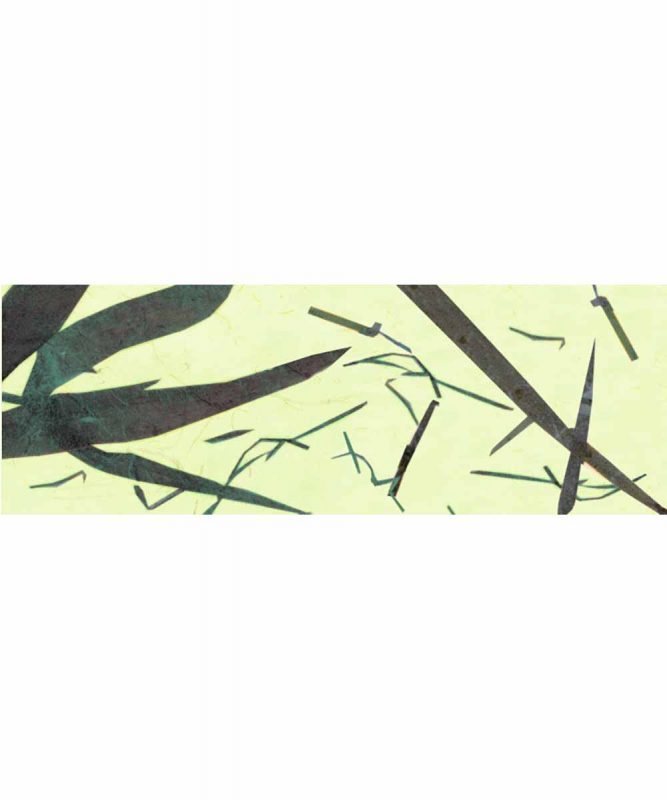 Bambuspapier Naturpapier mit Bambusfasern, 35 g/m² 23 x 33 cm, 5 Blatt, mit Banderole pastelgrün Art.-Nr.: 60560051